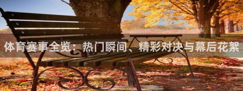 体育赛事全览：热门瞬间、精彩对决与幕后花絮