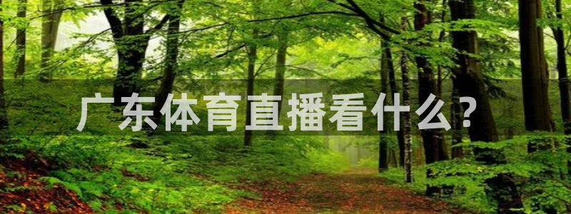 广东体育直播看什么？