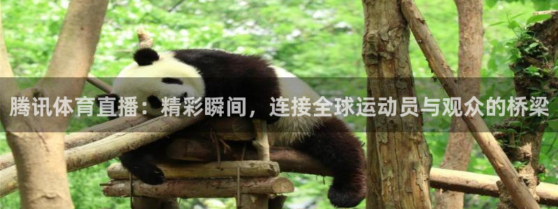 腾讯体育直播：精彩瞬间，连接全球运动员与观众的桥梁