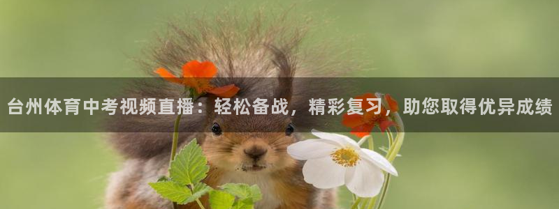 台州体育中考视频直播：轻松备战，精彩复习，助您取得优异成绩