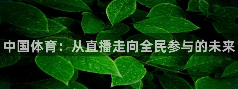 中国体育：从直播走向全民参与的未来