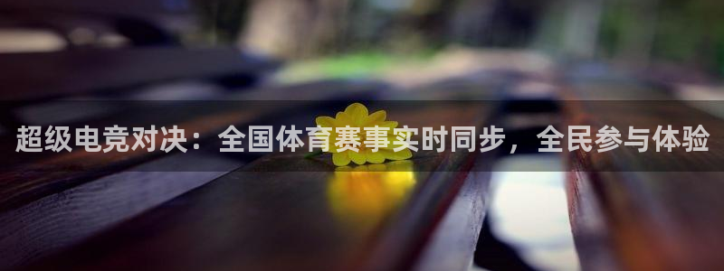 超级电竞对决：全国体育赛事实时同步，全民参与体验
