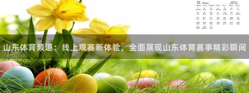 山东体育频道：线上观赛新体验，全面展现山东体育赛事精彩瞬间