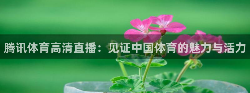 腾讯体育高清直播：见证中国体育的魅力与活力