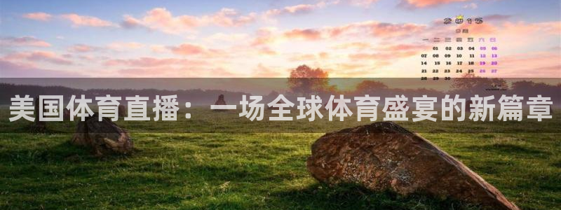 美国体育直播：一场全球体育盛宴的新篇章